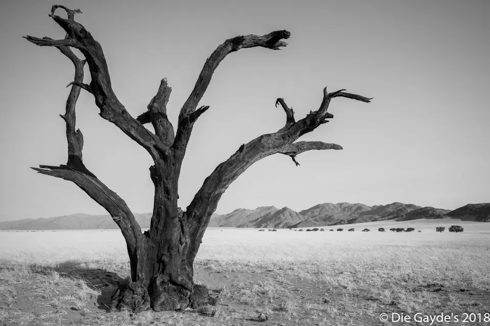 EOS6DMarkII_2018_10_02_2936.jpg