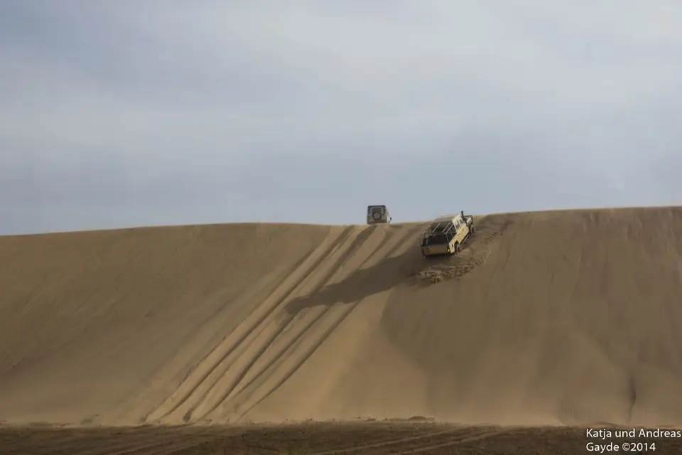 h51cfcdf.jpg