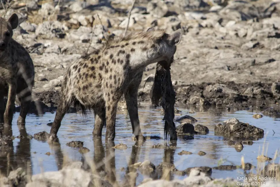 h8ded8c0.jpg