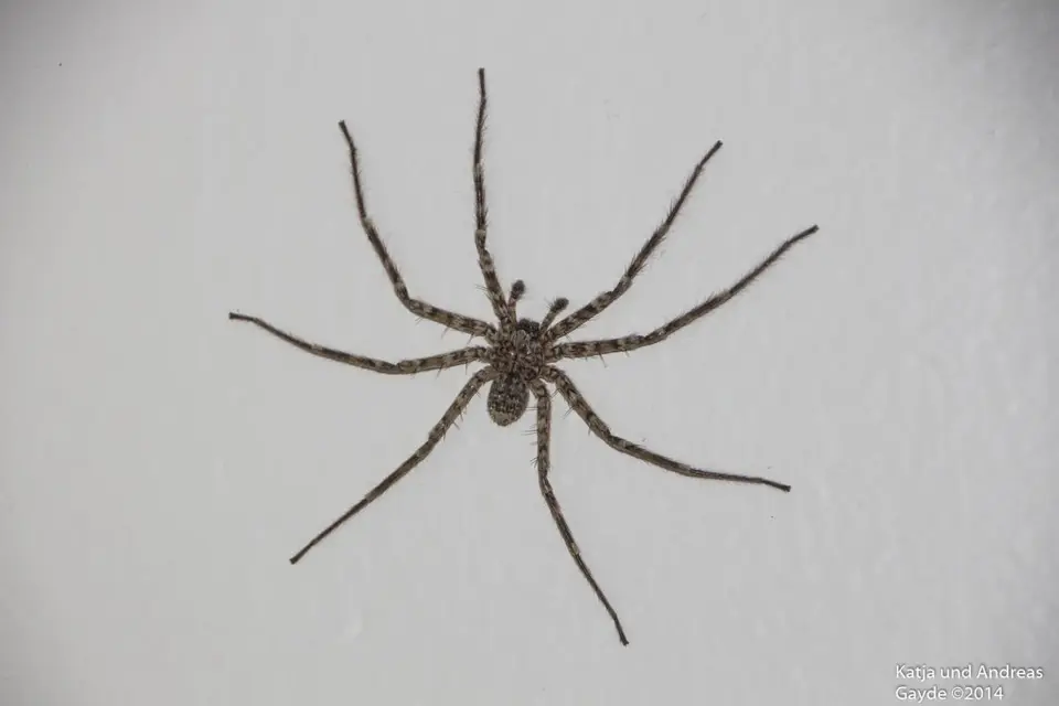 hb554d76.jpg
