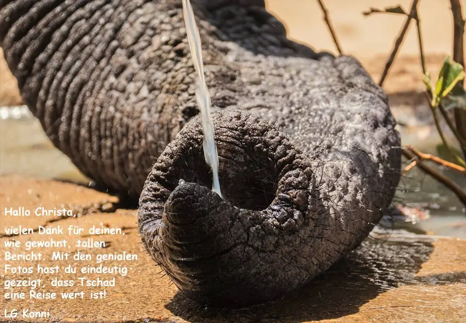 Botswanadreams19.jpg
