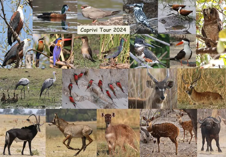 Caprivi_24.jpg