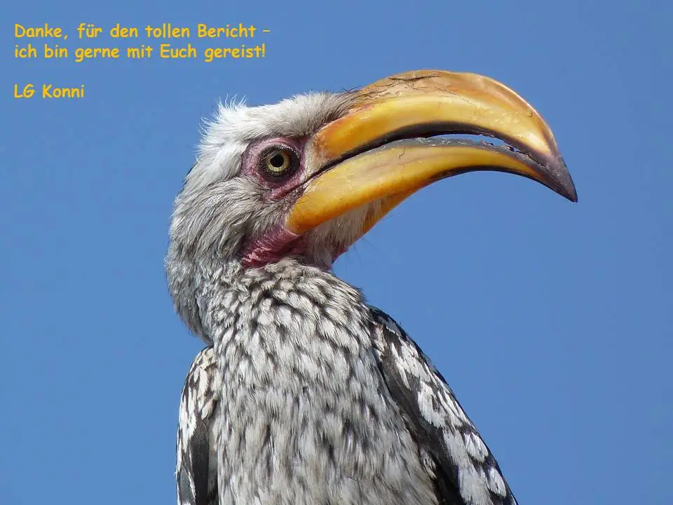 Danke1.jpg