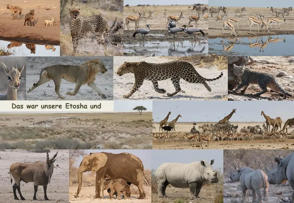 Etosha.JPG