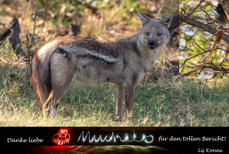 Eulenmuckels_23.jpg