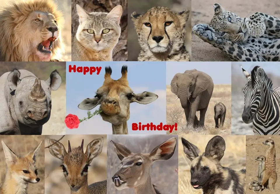 Geburtstag16_on.jpg