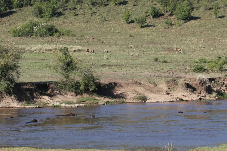 K23_2588.JPG