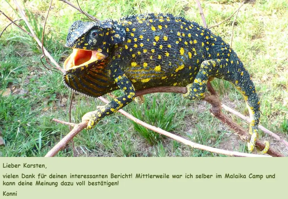 KarstenB.jpg