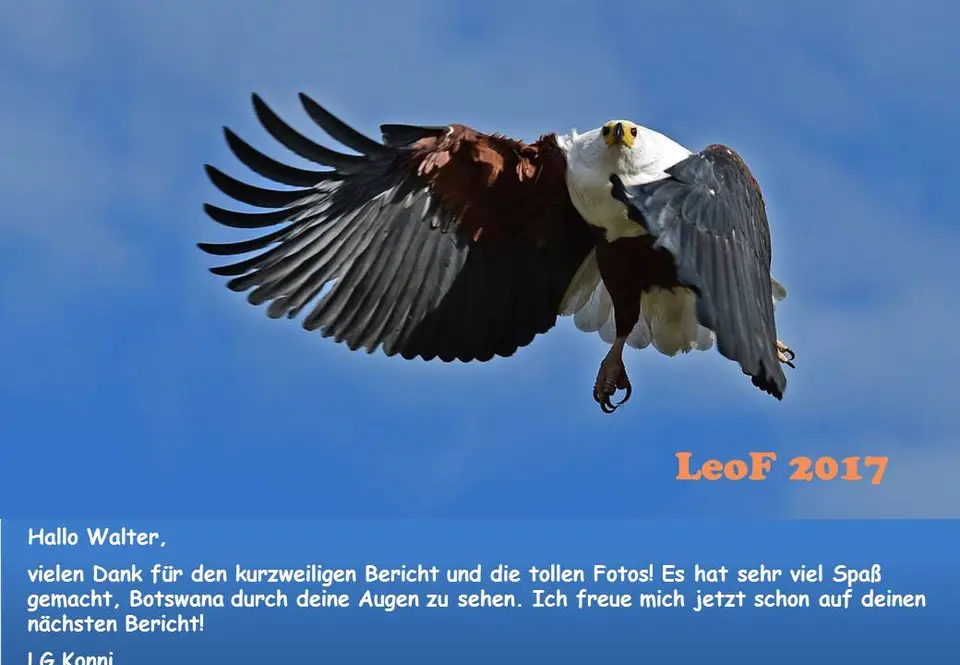 Leofant-2.jpg