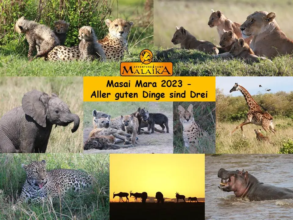 Masai_Mara_2023.jpg