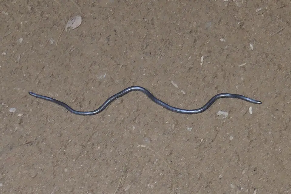NA13_9969.JPG