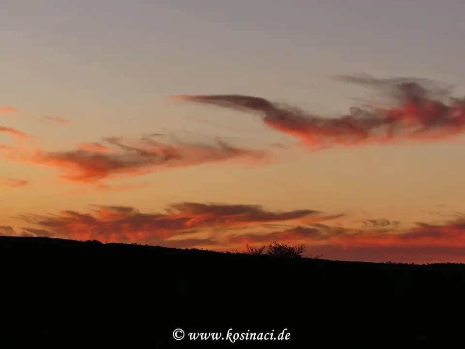 NA16_0266.JPG