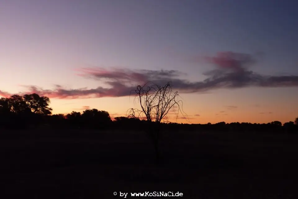 NA16_0271.JPG