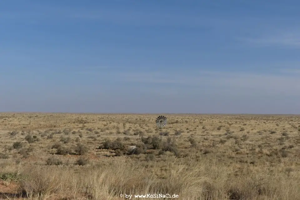 Na16_1098.JPG