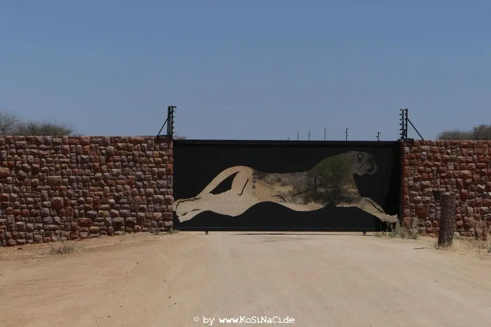 Na16_11015.JPG