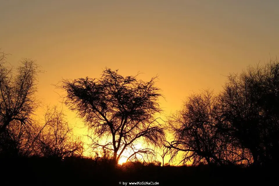 Na16_12137.JPG