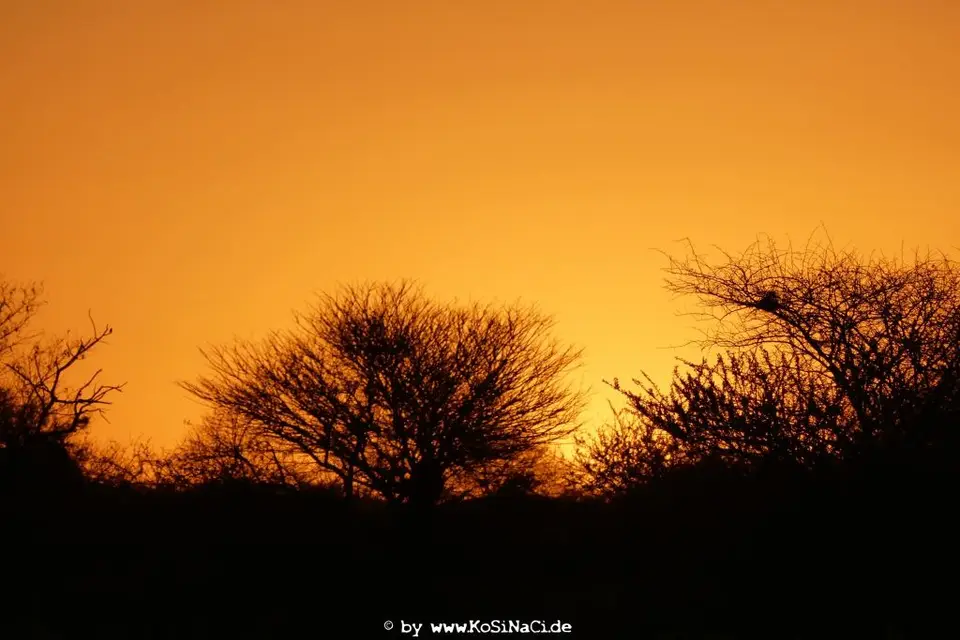 Na16_13792.JPG
