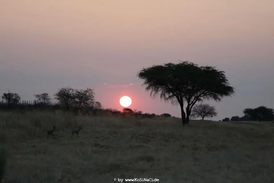 Na16_6007.JPG