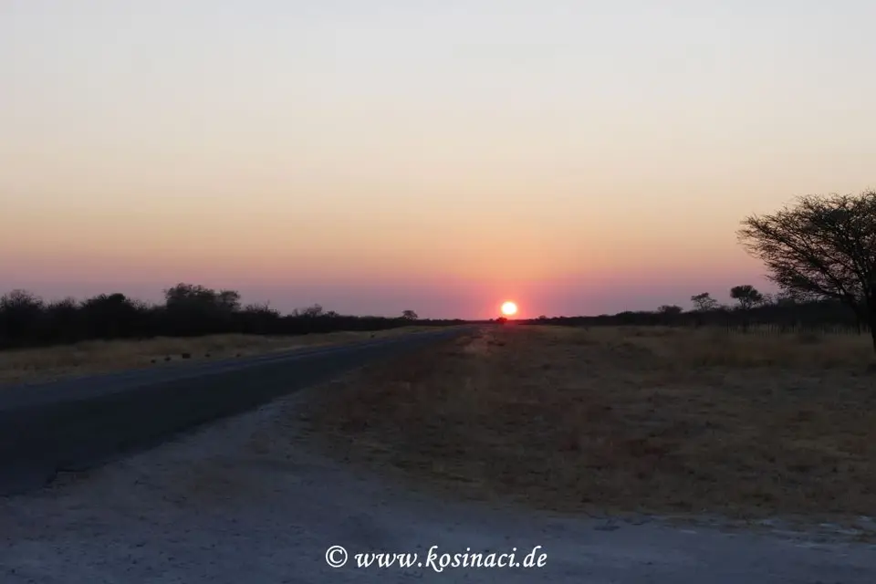 Na16_6035-2.JPG