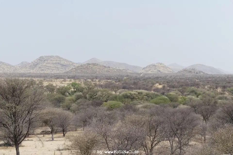 Na17_0045.JPG