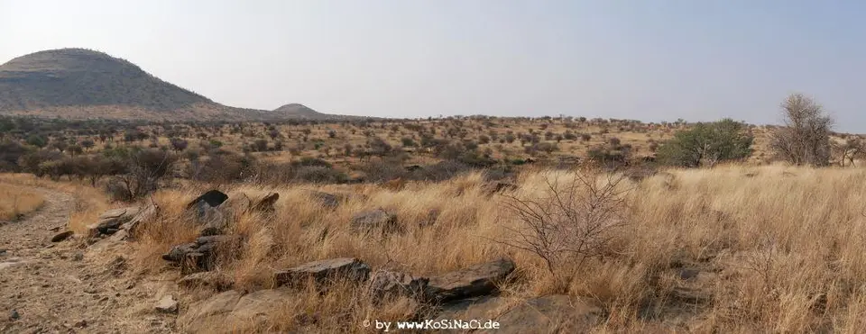 Na17_0082.JPG