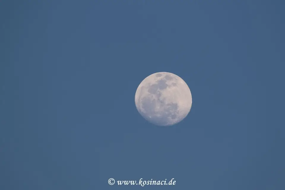 Na17_11181.JPG
