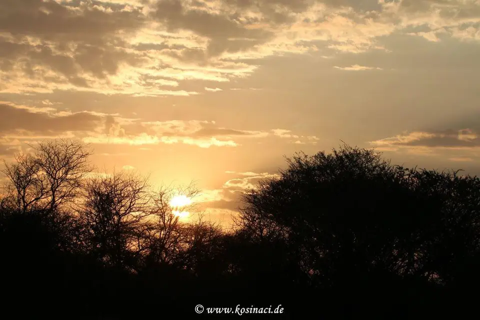 Na17_11219.JPG