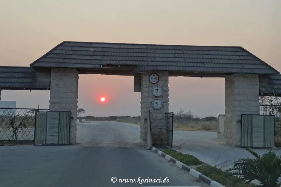 Na18_2252.JPG