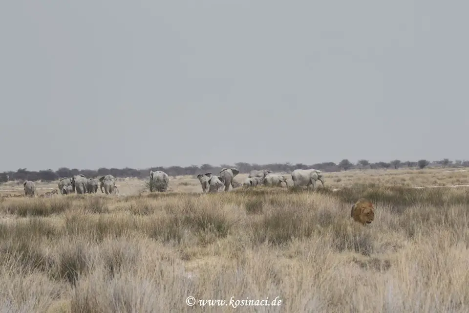 Na18_5472.JPG