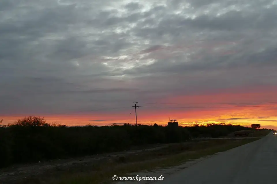 Na19_10713.JPG