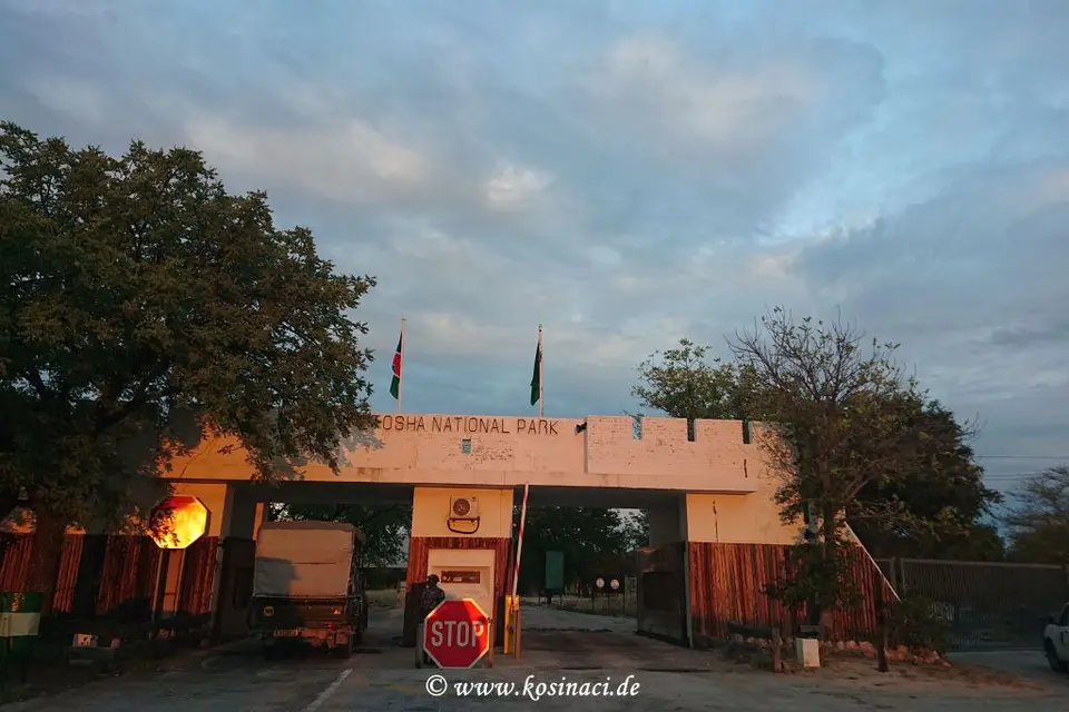 Na19_10717.JPG