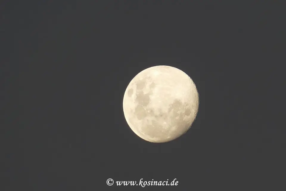 Na19_21029.JPG