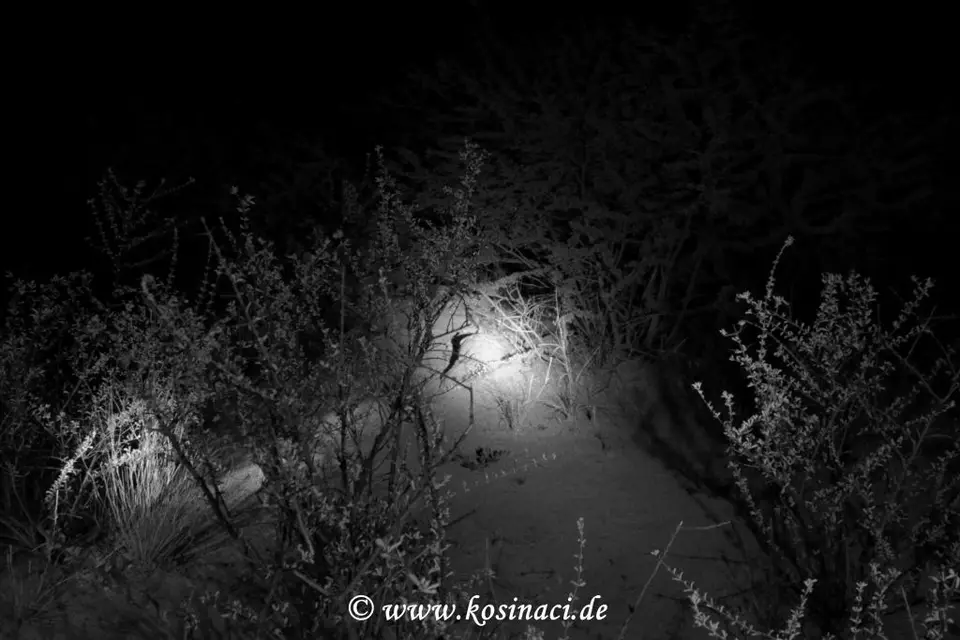 Na19_21068.JPG