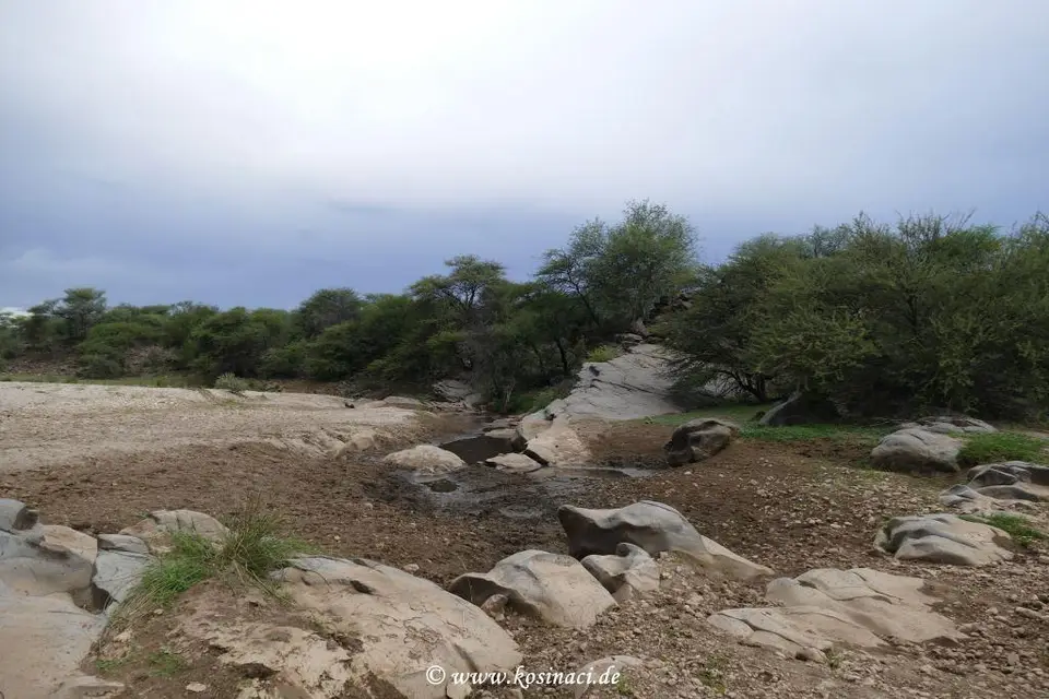Na19_23374.JPG