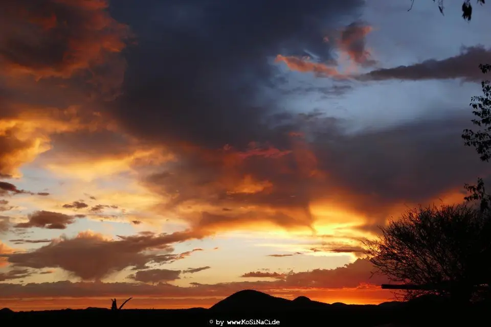 Na19_23453.jpg