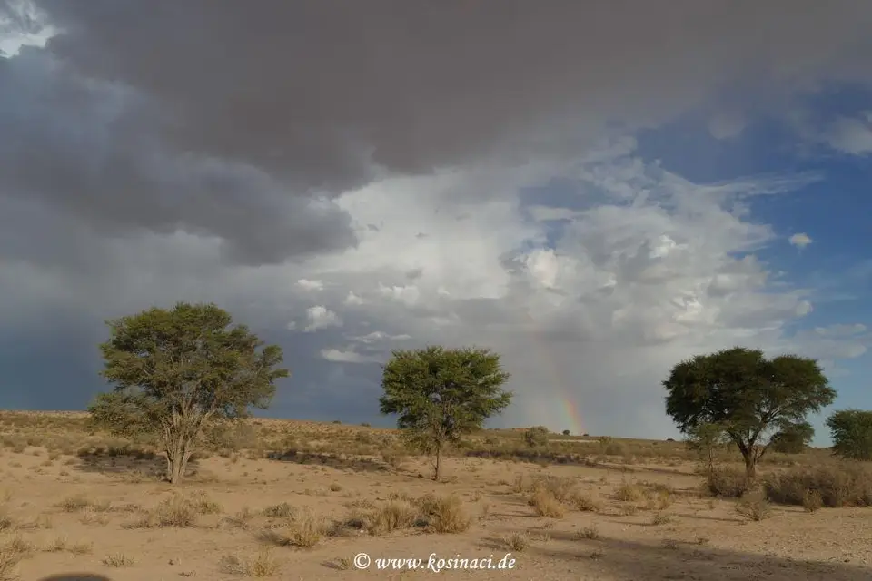Na19_3048.JPG