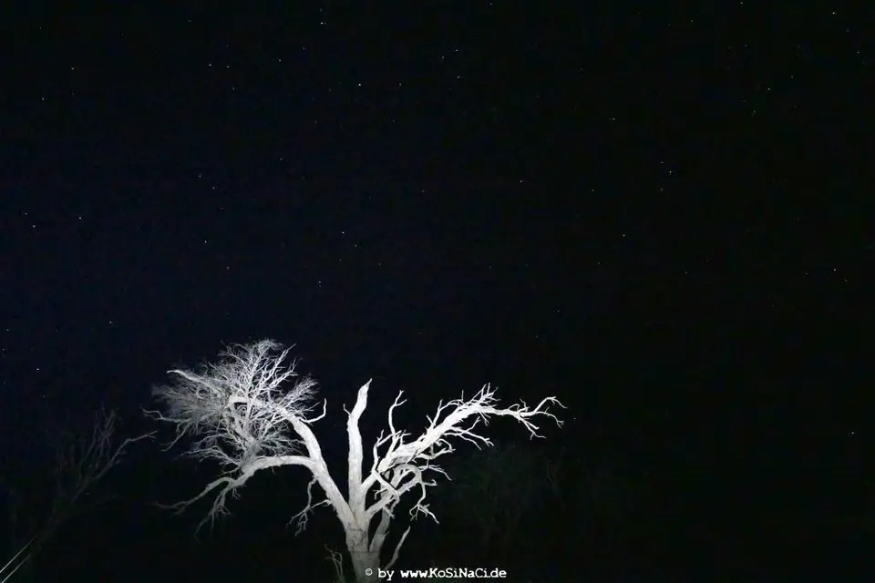 Na19_5070.jpg