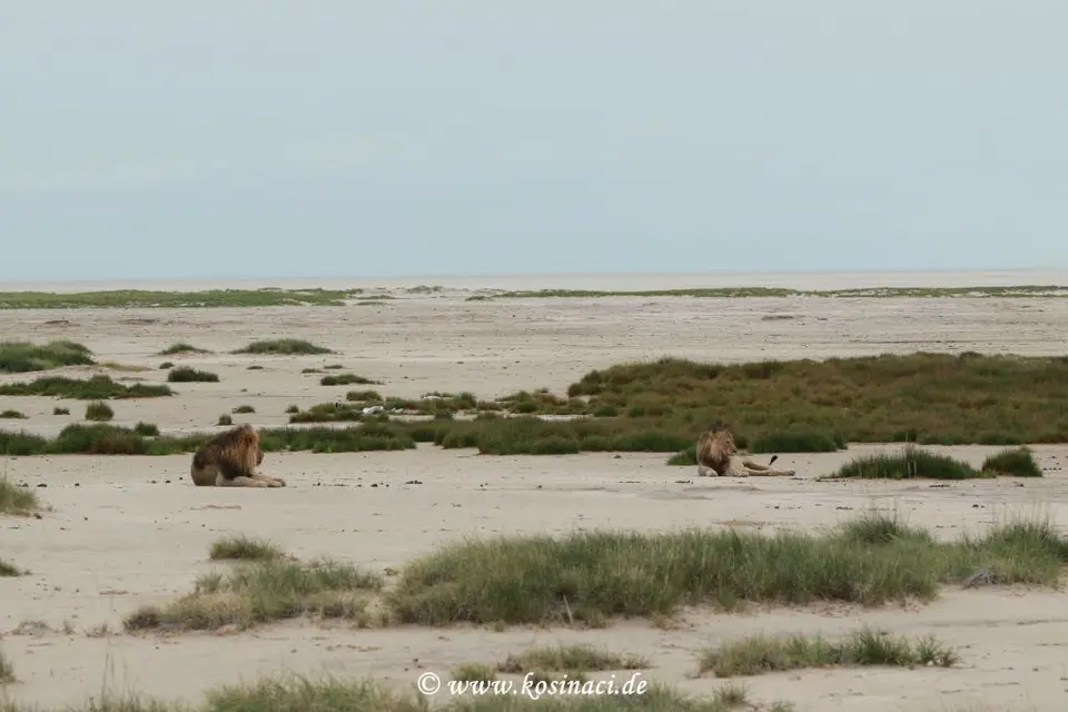 Na22_0432.JPG