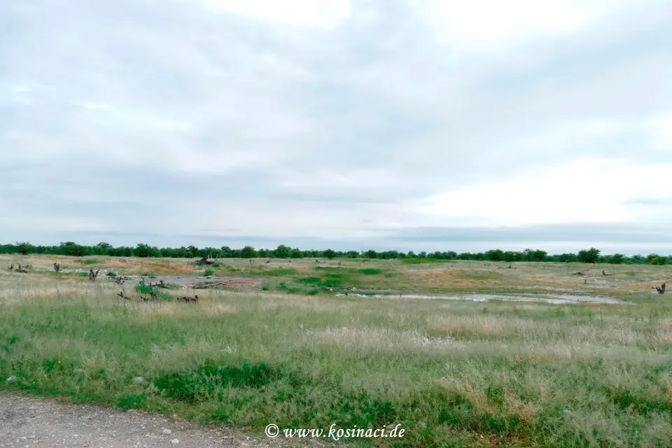 Na22_0914.JPG