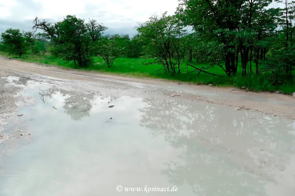 Na22_0930.JPG