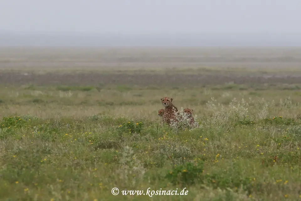 Na22_10098.JPG
