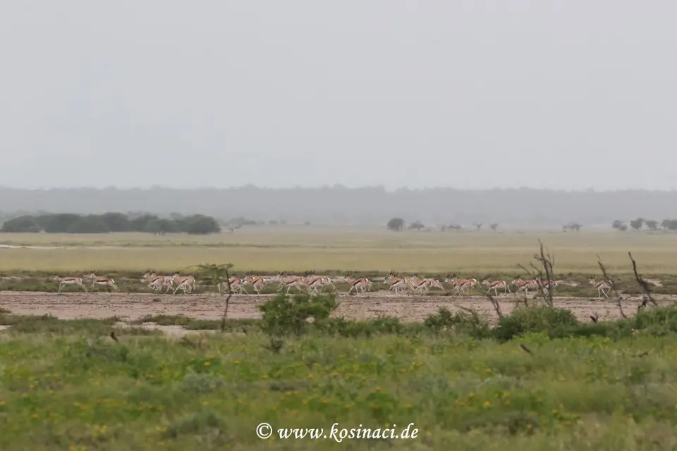 Na22_10138.JPG