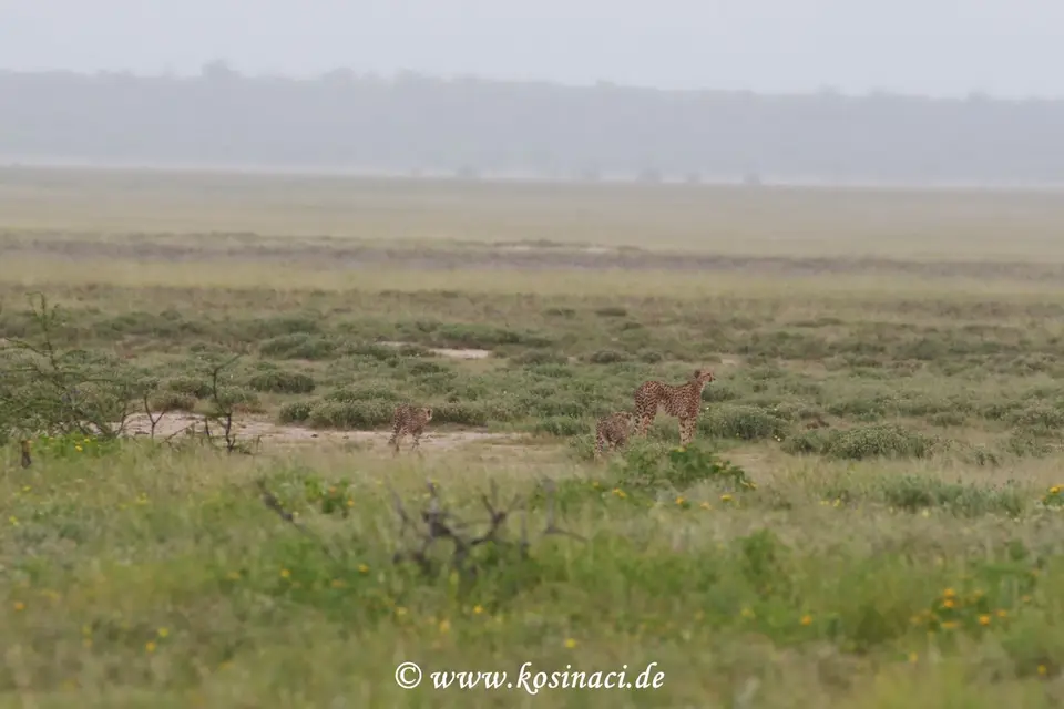 Na22_10147.JPG