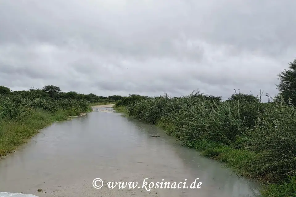 Na22_11154.jpg