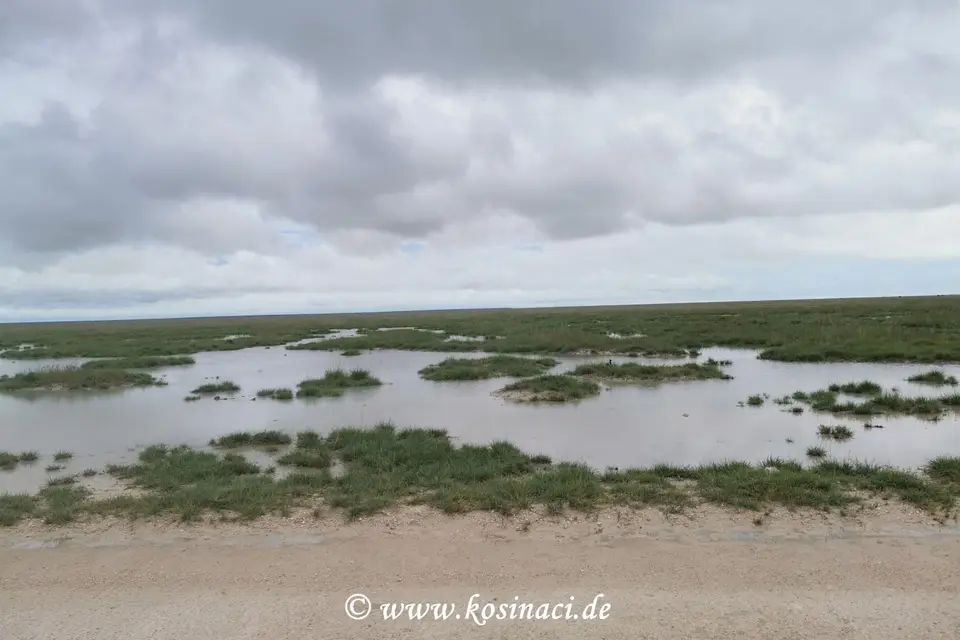 Na22_11267.jpg