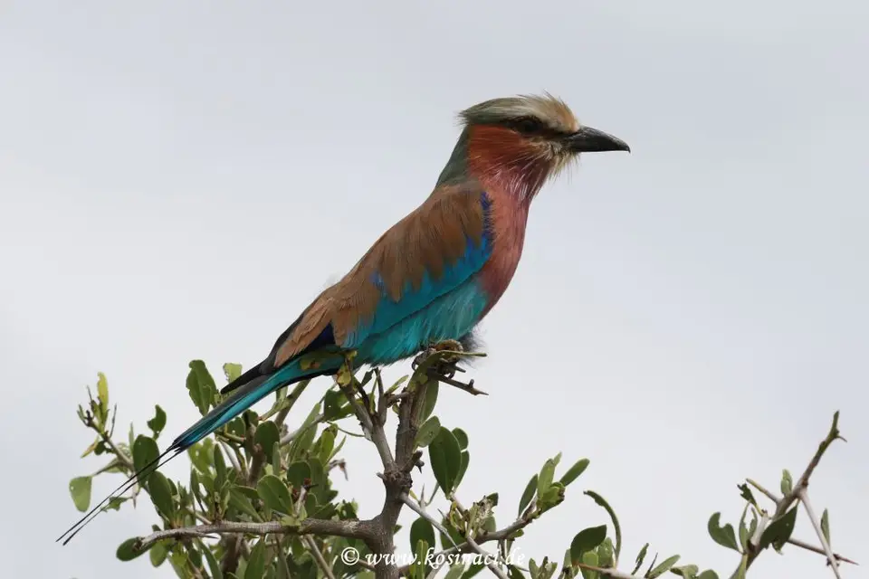 Na22_11420.JPG