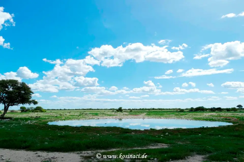Na22_2945.JPG