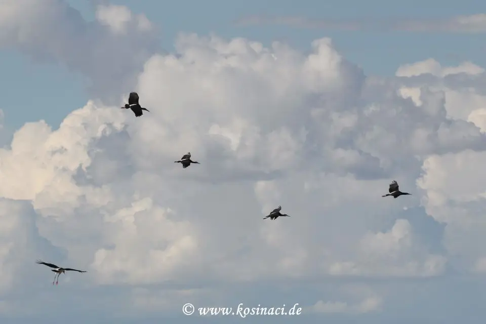 Na22_3262.JPG
