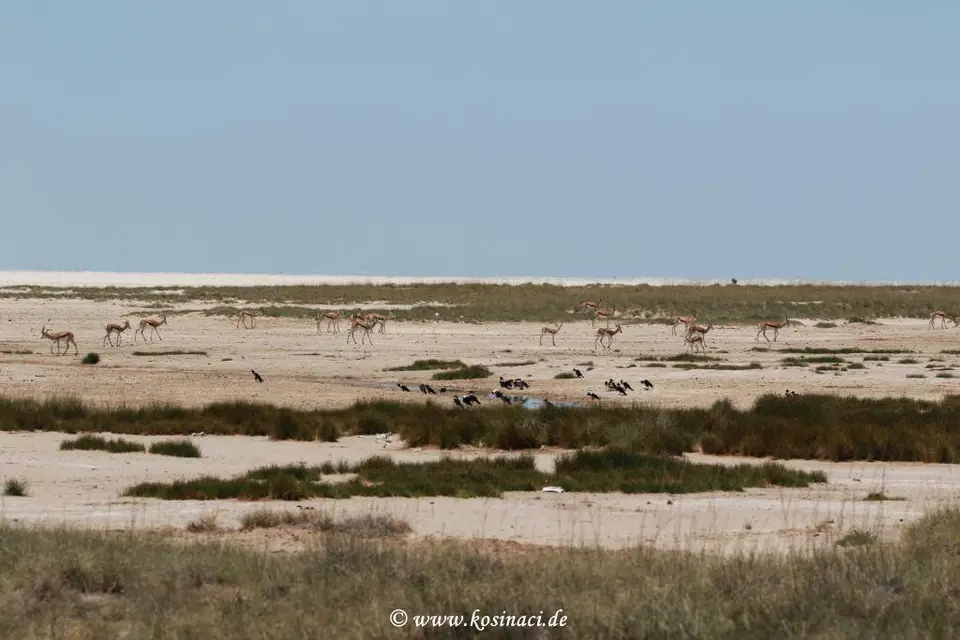 Na22_4114.JPG