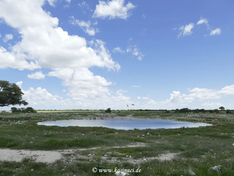 Na22_4992.JPG